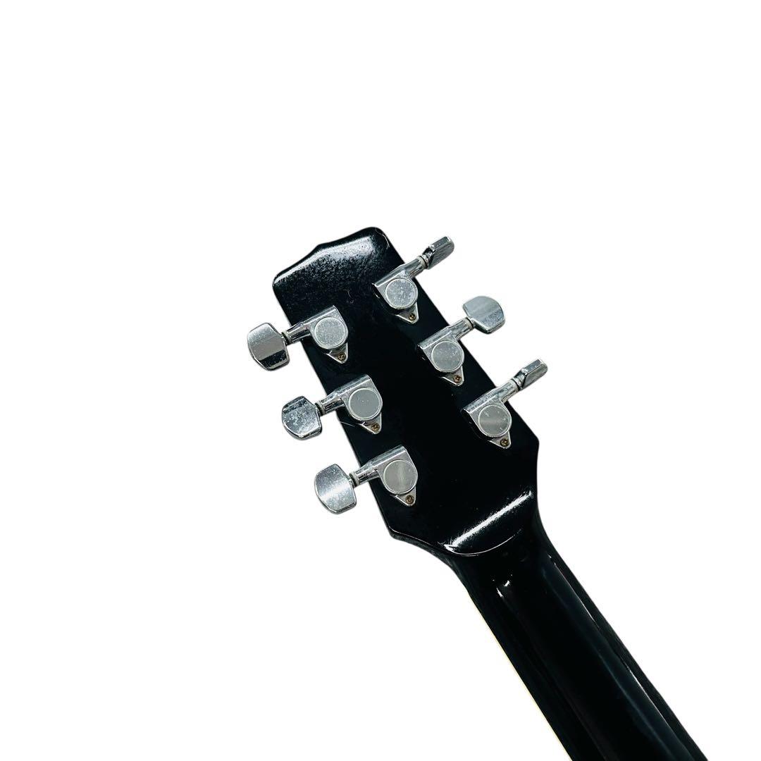 TAKAMINE タカミネ　アコースティックギター　T-F1