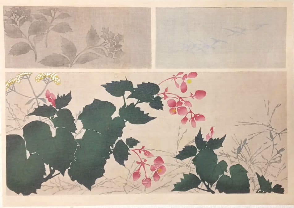 琳派図案版画（色摺版画)、作者不詳、明治後期～昭和初期出版