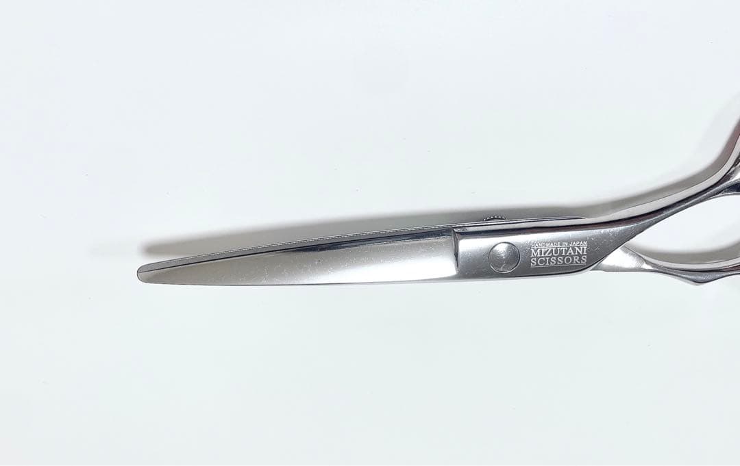 ミズタニシザーズ