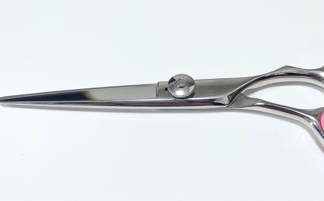 ミズタニシザーズ