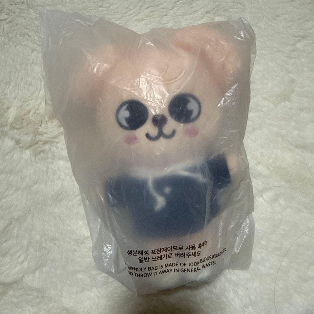 StrayKids スンミン PuppyM 17点 まとめ売り