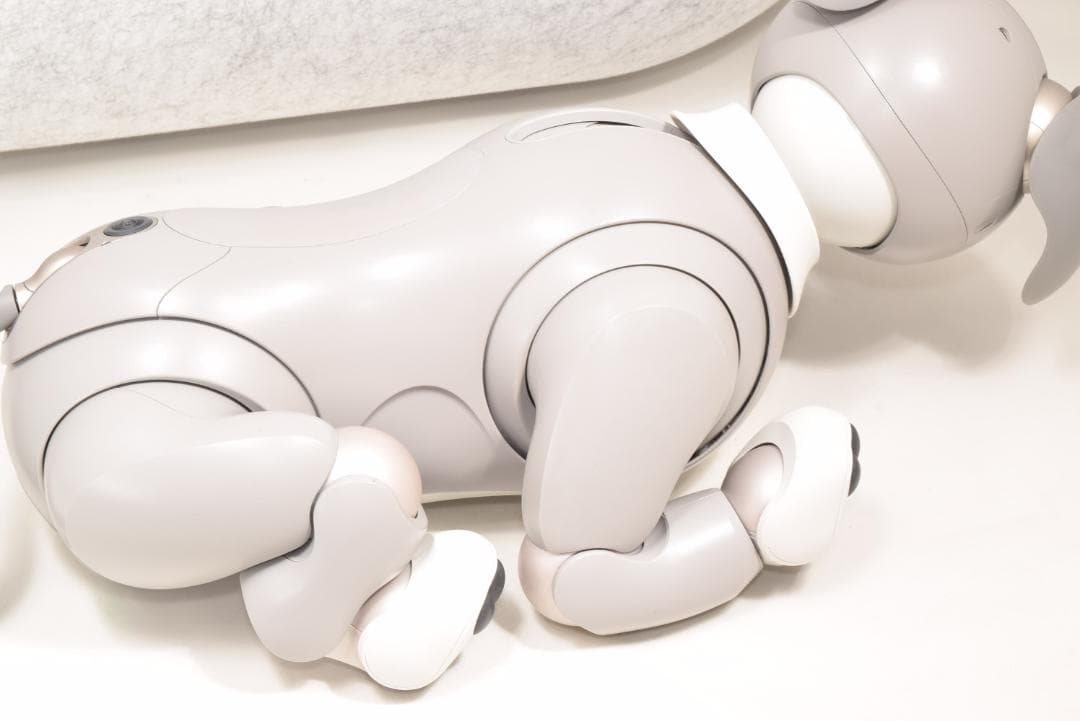 希少 ソニー SONY アイボ ERS-1000 黒ごまエディション 限定モデル