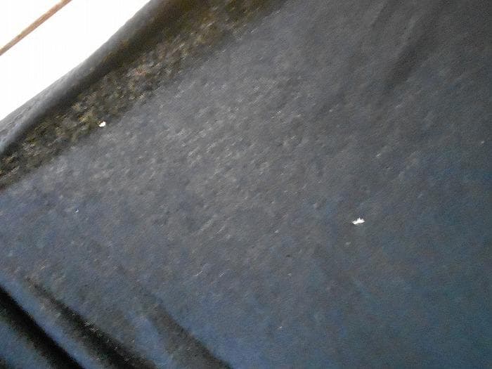 REBECCA レベッカ 2015 横浜アリーナ スタッフクルー Ｔシャツ