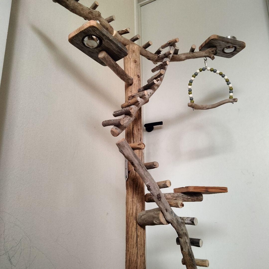 バードアスレチックジム大型 ㊵ 天然木 自然木 流木 止まり木 インコ おもちゃ