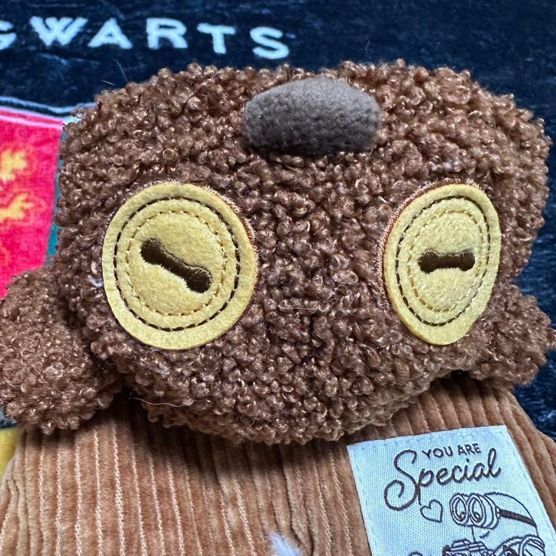 ペットパラダイス　TIM ５枚セット　サイズ3S