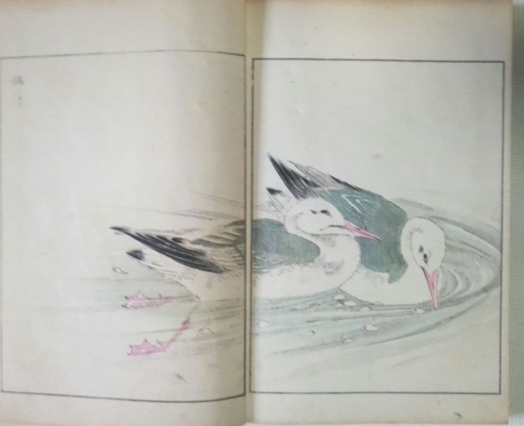 木版画本聚鳥畫譜大正5年再版三冊揃い天、地、人沼田荷舟画初版は明治18年～22年