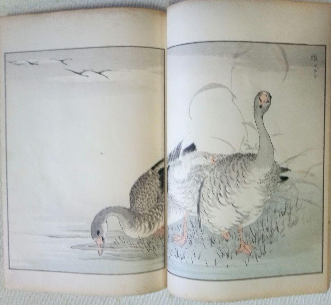 木版画本聚鳥畫譜大正5年再版三冊揃い天、地、人沼田荷舟画初版は明治18年～22年