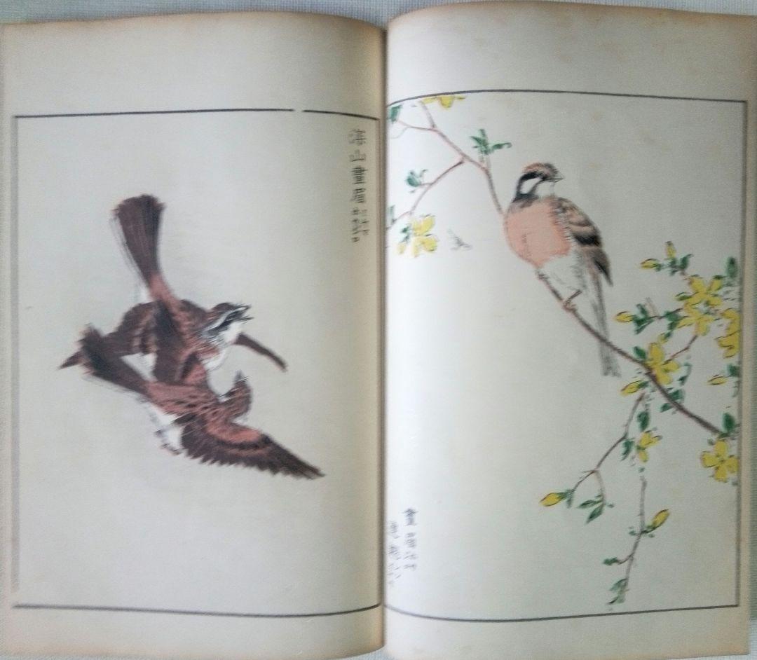 木版画本聚鳥畫譜大正5年再版三冊揃い天、地、人沼田荷舟画初版は明治18年～22年