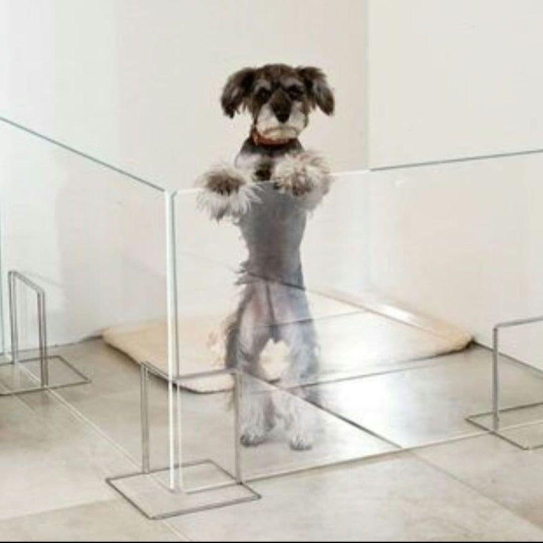 アクリル　ペットゲート　お得な２枚組　L型　クリア　KY-99　ペットサークル