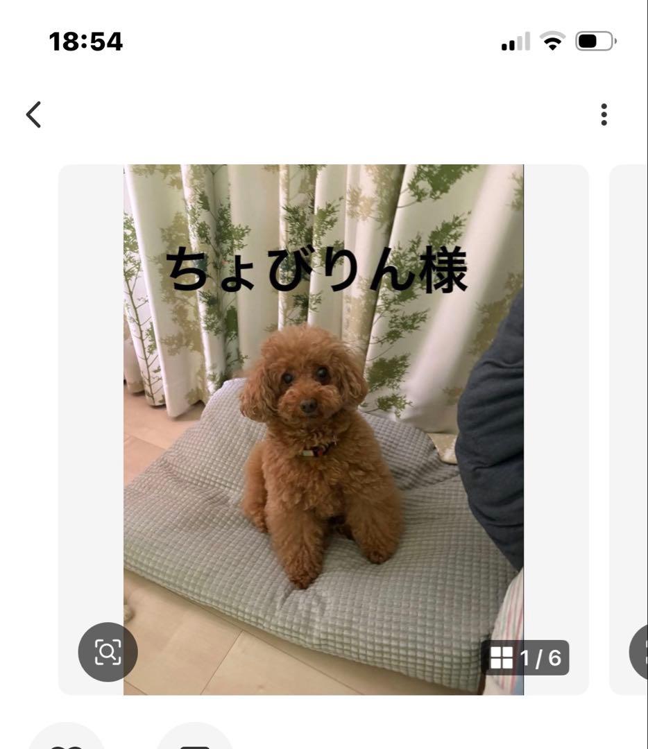 ゆみみゆりんゴルフボールケース