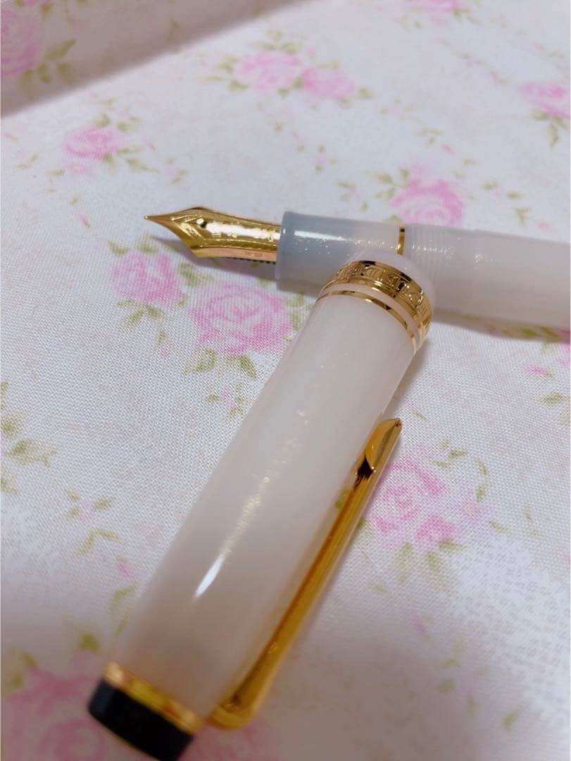 セーラー万年筆　名月