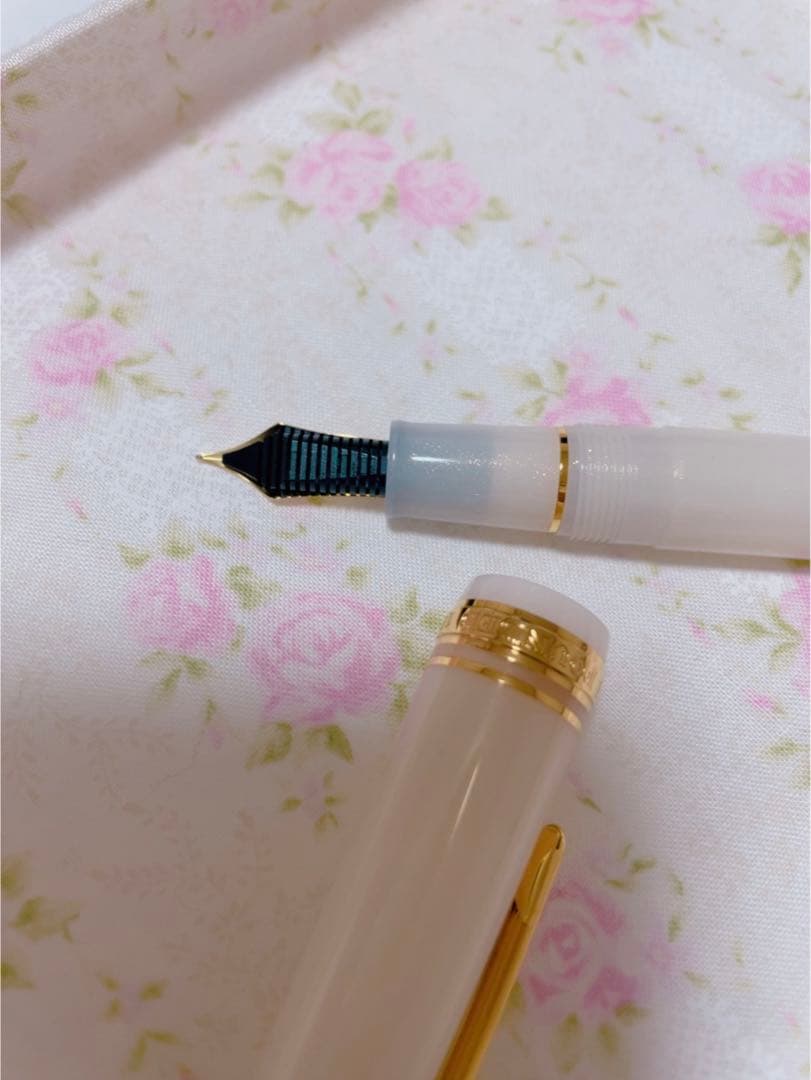 セーラー万年筆　名月