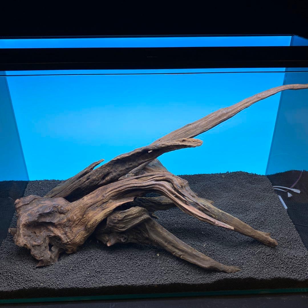 MRW-6731 赤系天然流木レイアウトセット　60cm水槽用流木　アクアリウム