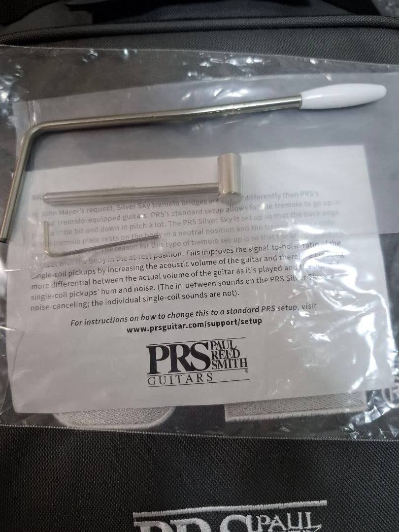 ギター Paul Reed Smith SE Siver Sky Ever Green