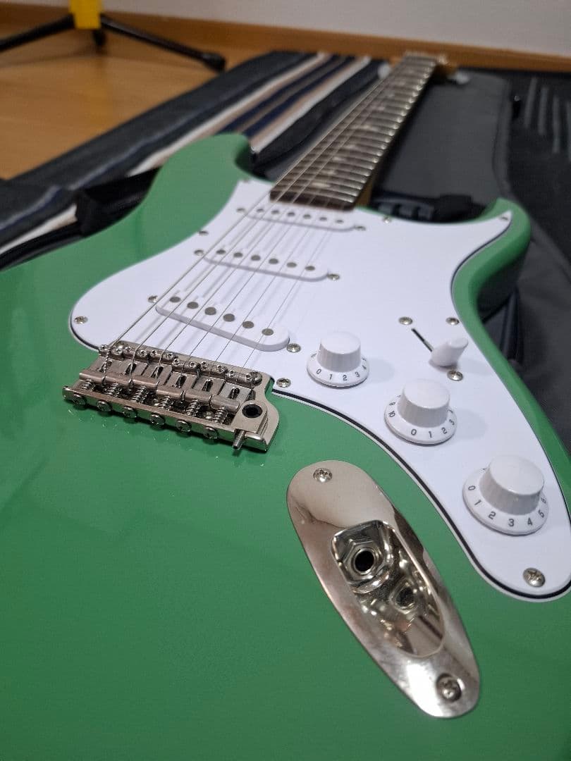 ギター Paul Reed Smith SE Siver Sky Ever Green
