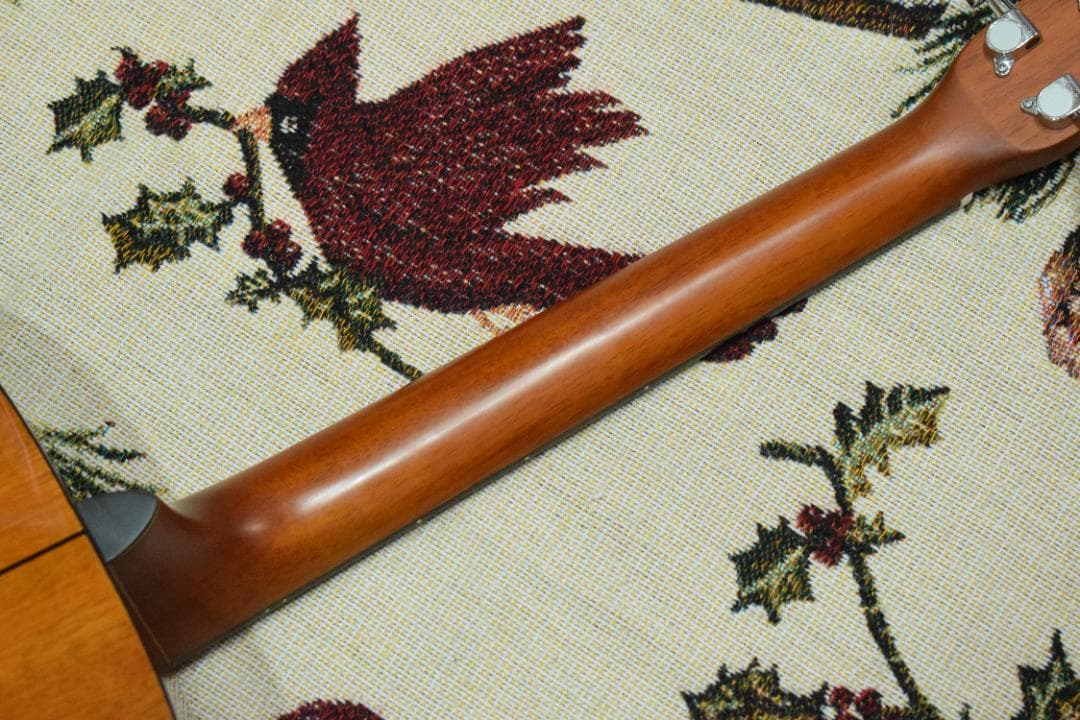 Morris F-01 II NAT 状態良好 ソフトケース付き