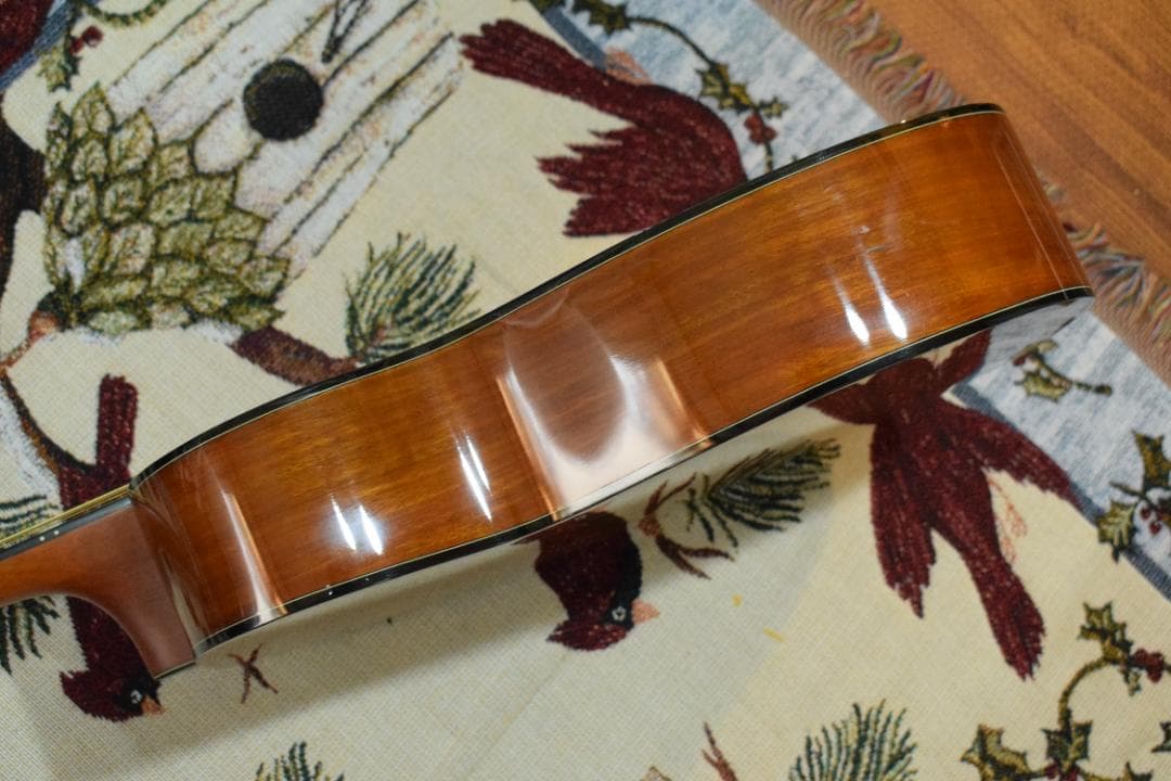 Morris F-01 II NAT 状態良好 ソフトケース付き