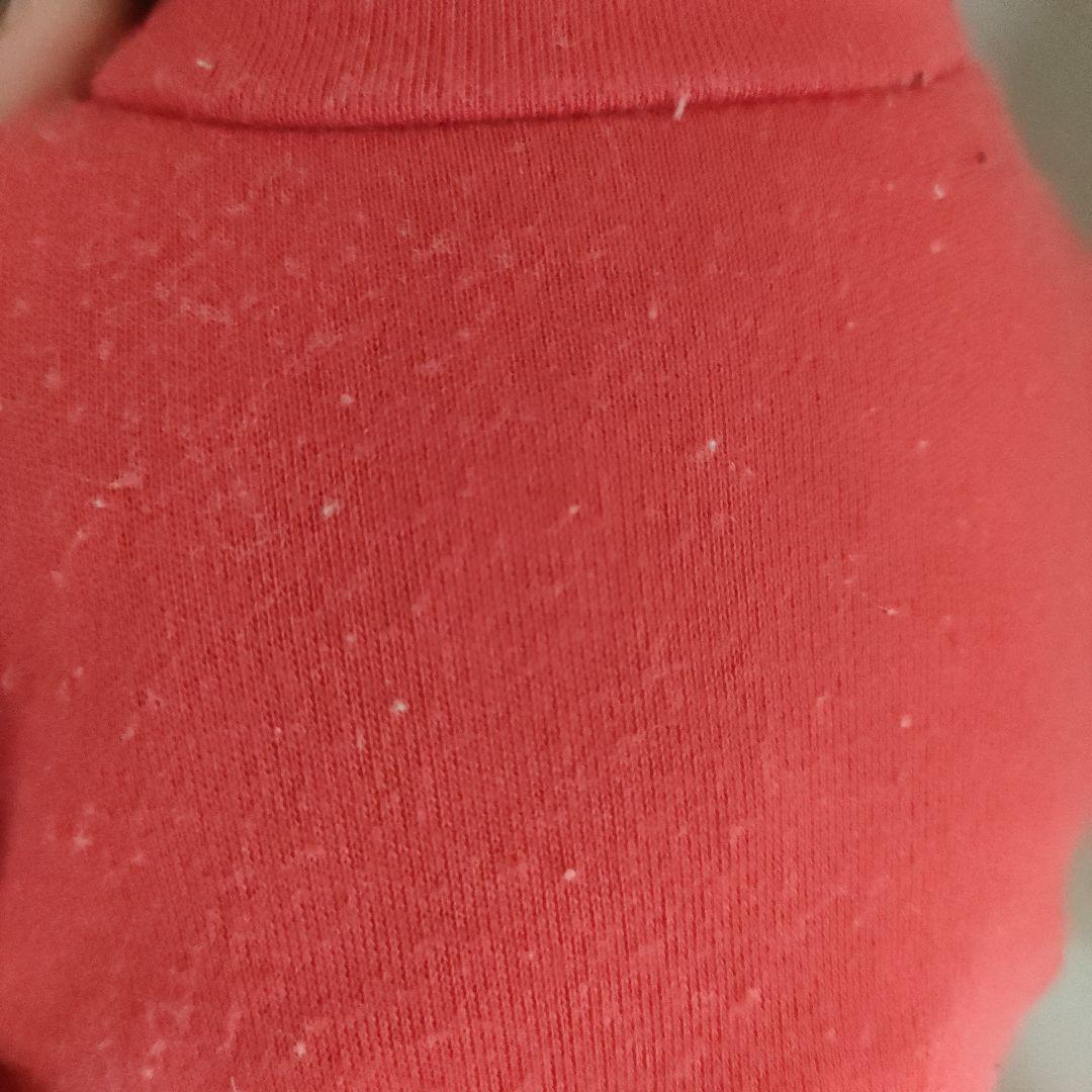 ハイスクールミュージカル　ダッフィー