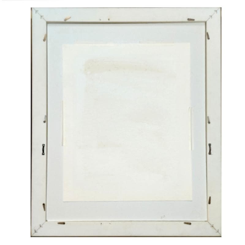 ☆レスリー・セイヤー☆「フラワーファンタジ－」シルクスクリーン　女流画家！