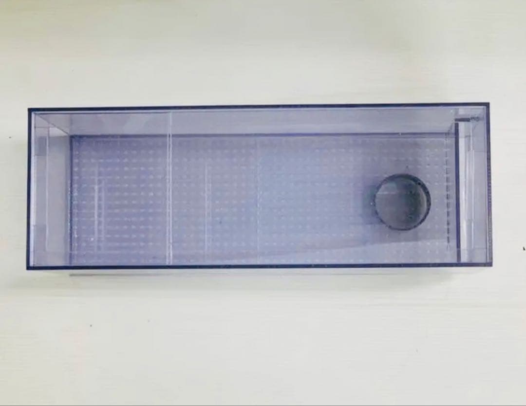 Ｗ600×Ｄ300×Ｈ300 オーバーフロー水槽用塩ビ濾過槽+ウールBOX