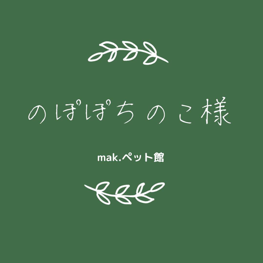 K-ブラッシュＬ【スプレータイプ】