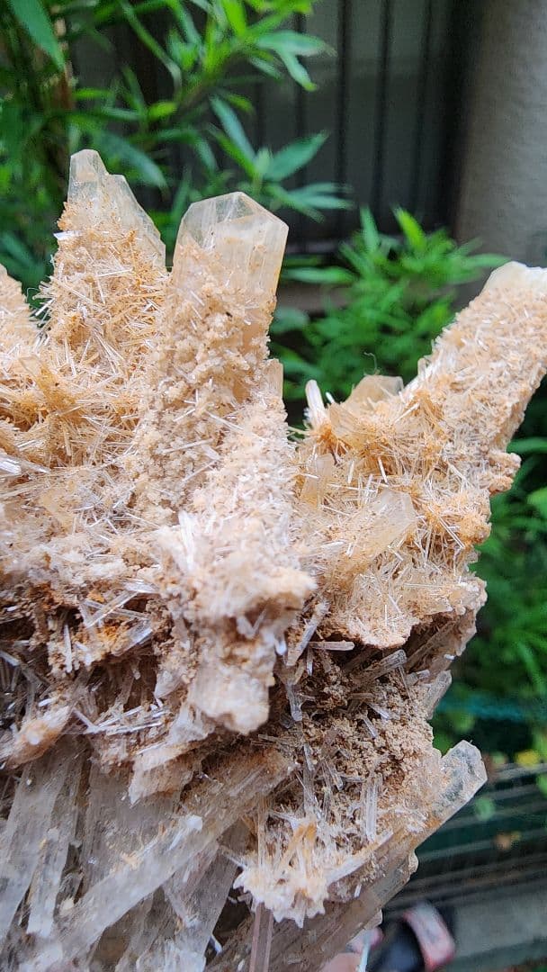 オーストラリア産の黄色いアラゴナイト