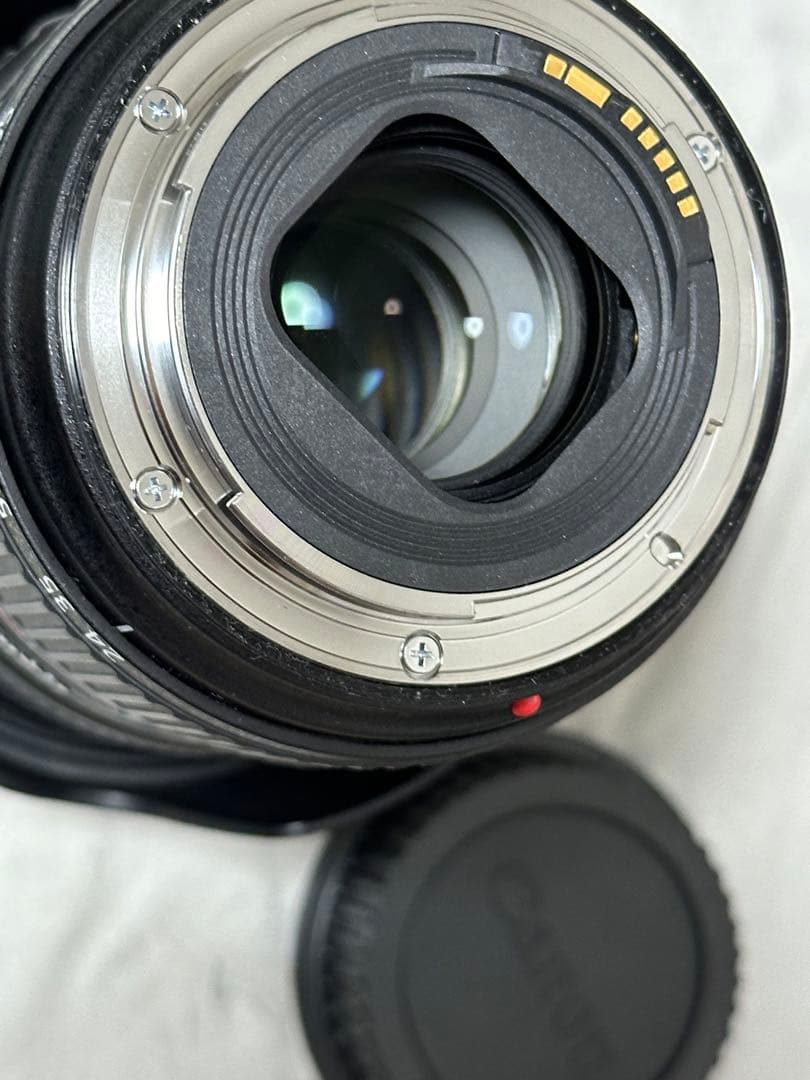 ズームレンズ EF24-105mm F4L IS II USM キヤノン EF