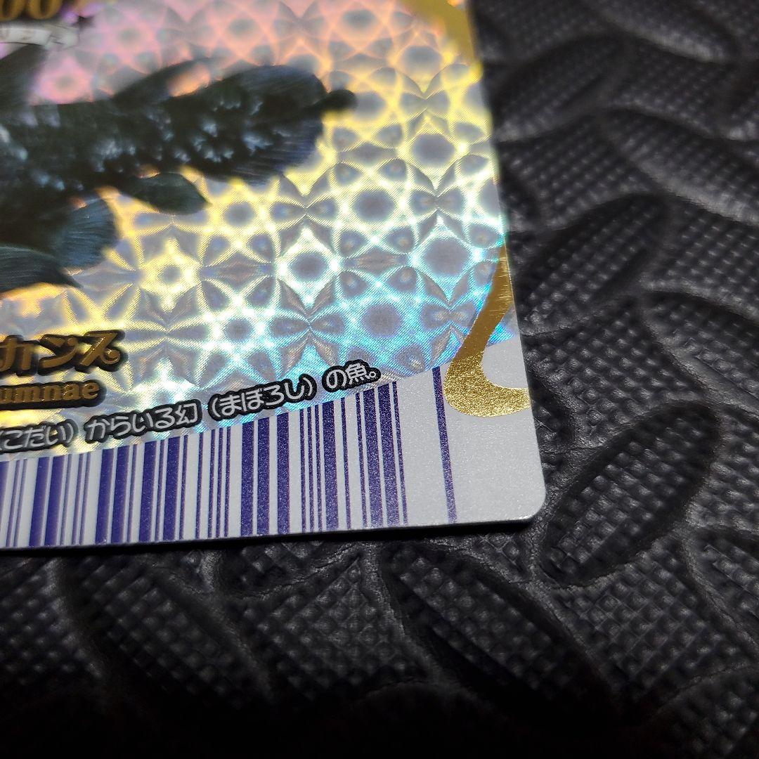 マリンマリンカード ＊シーラカンス＊