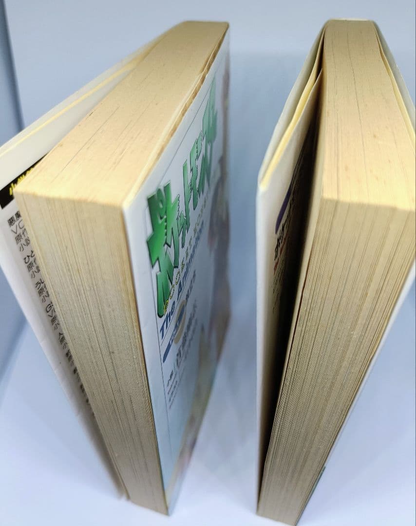 ポケットモンスター　The Animation VOL.1 &VOL.2　小説