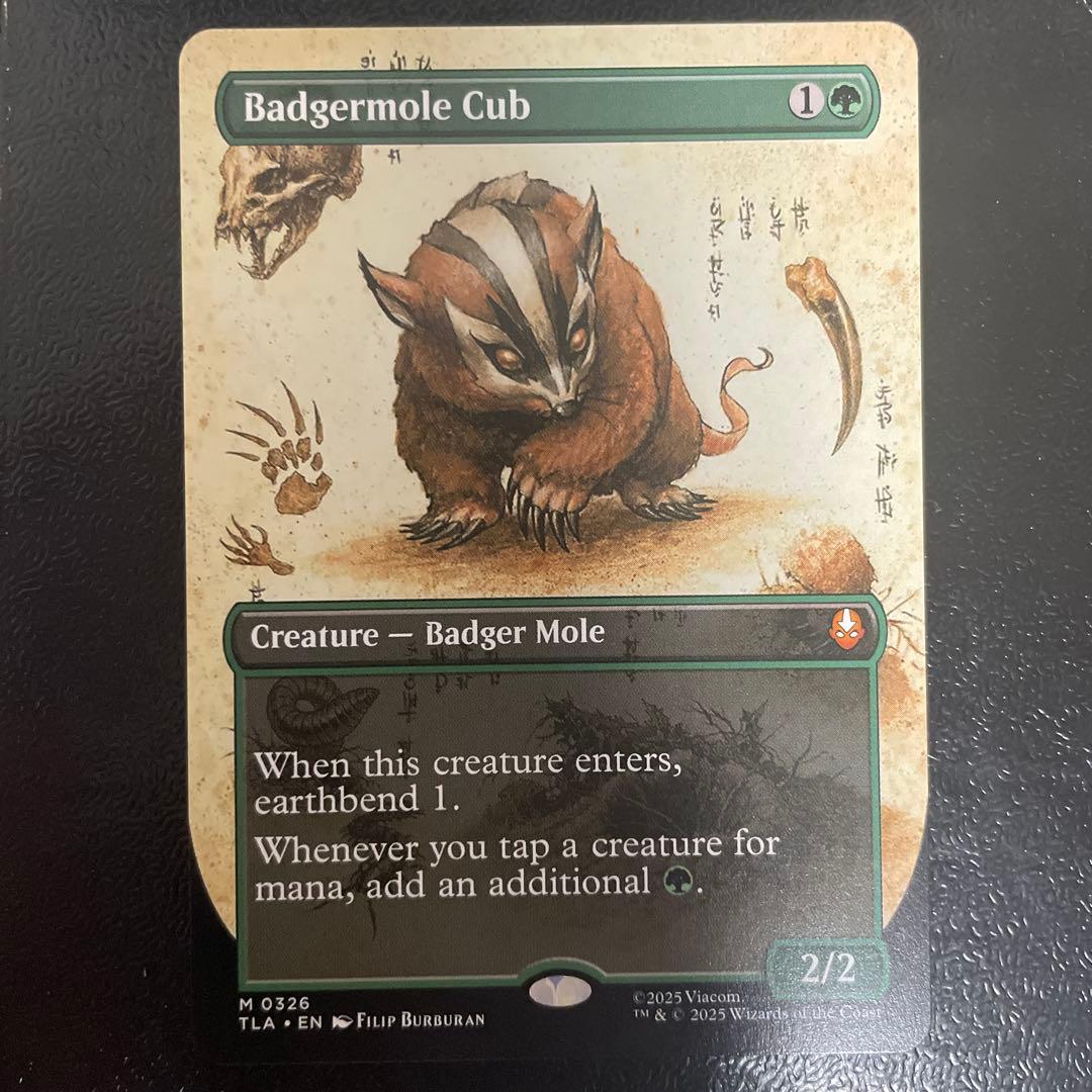 アナグマモグラの子 英語 絵違い 1枚