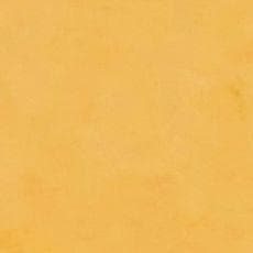 NMB48 10期生 セット 生写真 コースター まとめ売り