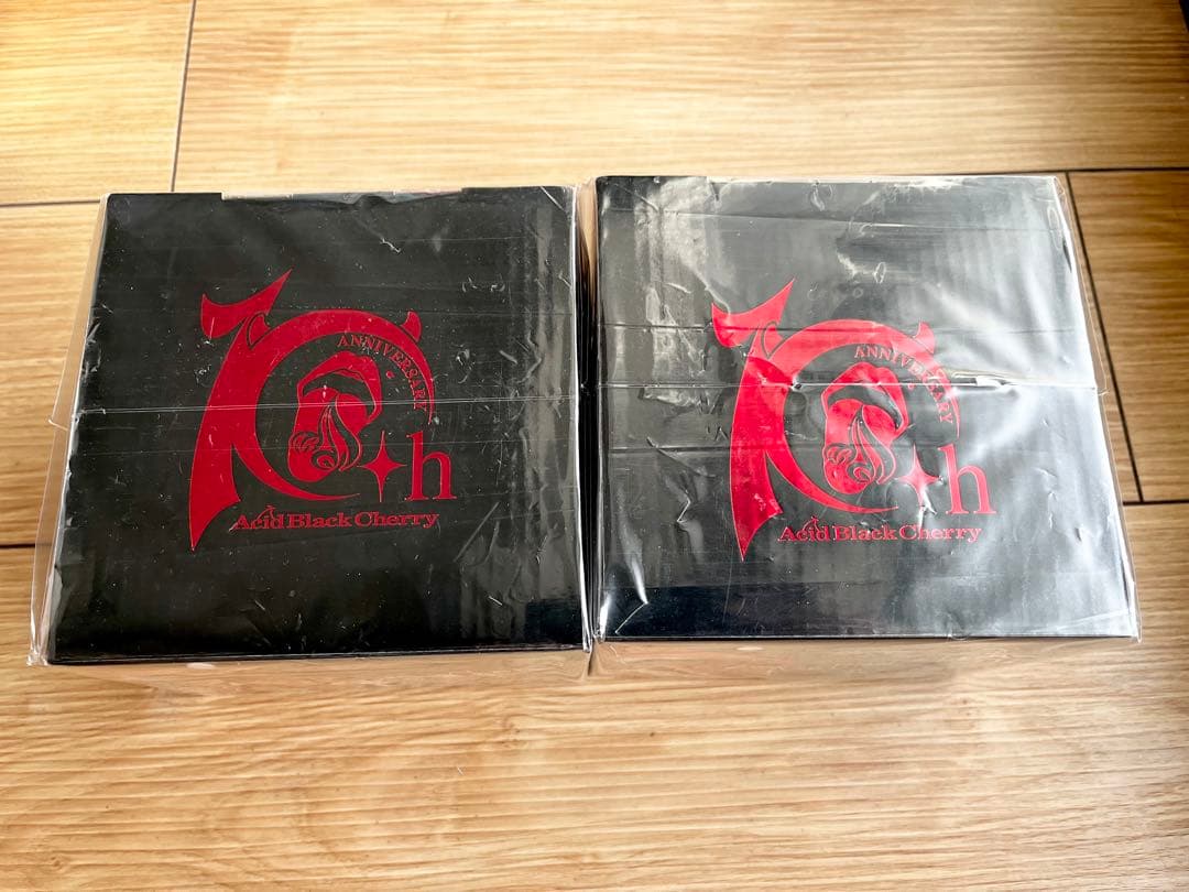 【Acid Black Cherry】10周年記念☆マグ＆プレート 黒 2個