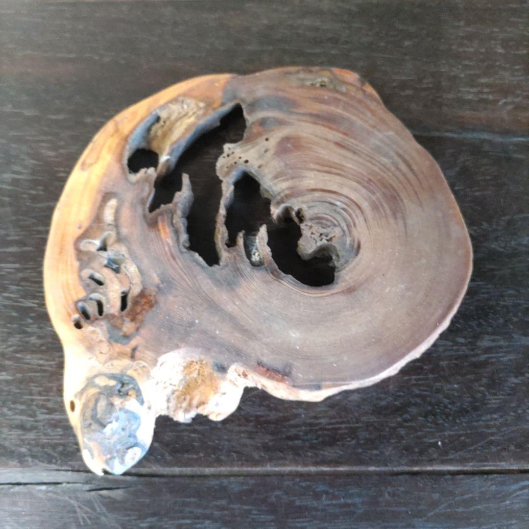 富舟、落款、盆栽鉢、植木鉢、古鉢、鋲打ち鉢、常滑焼、花台付