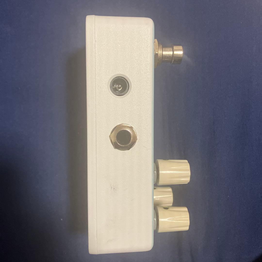 ギター Animals Pedal RELAXING WALRUS DELAY