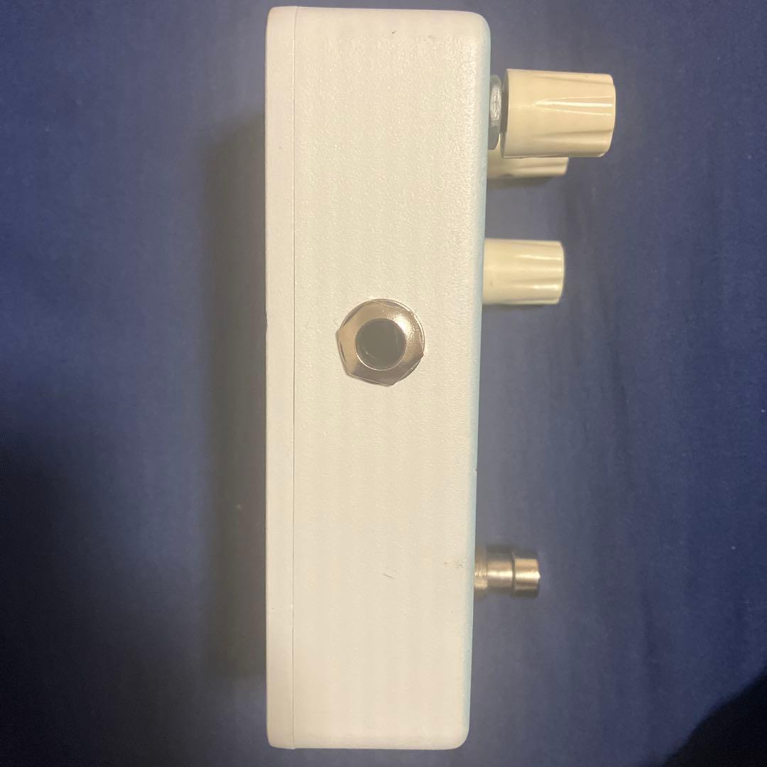 ギター Animals Pedal RELAXING WALRUS DELAY