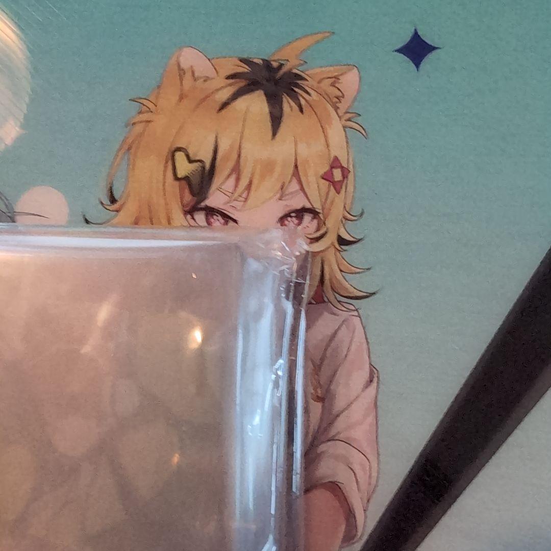 ポケットモンスター　カミツレ　スリーブ