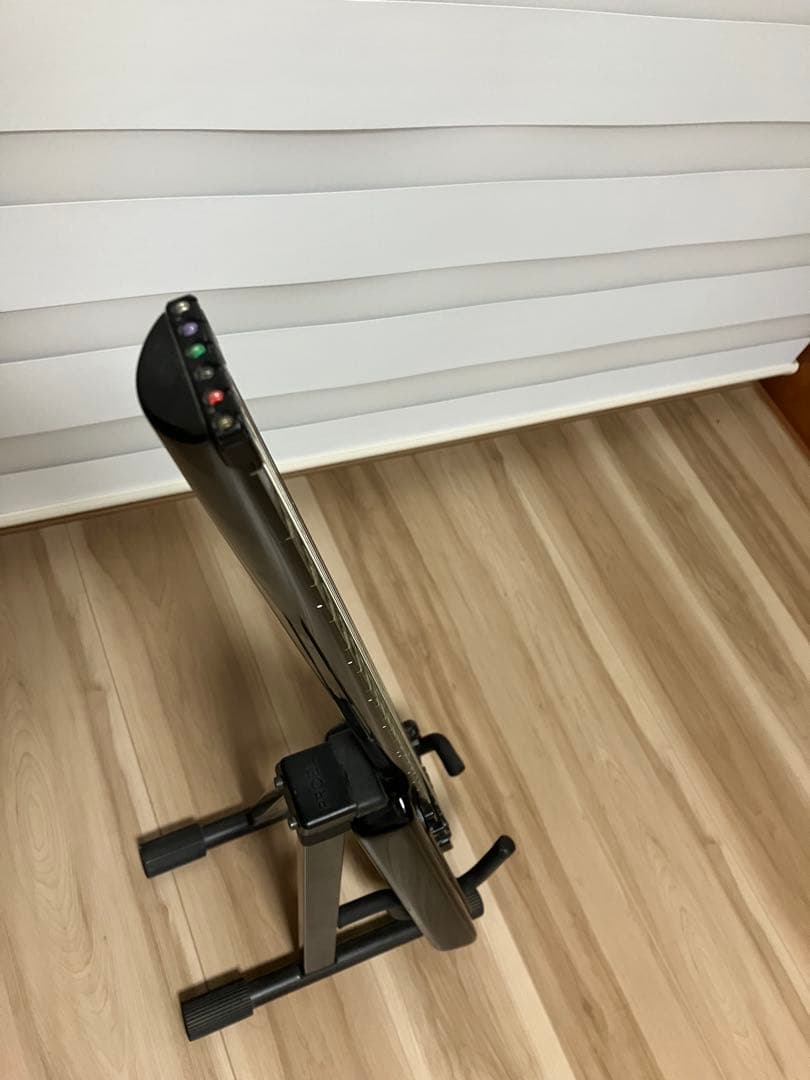 希少！STEINBERGER GP-2S(USA)ハードケース、ソフトケース付き