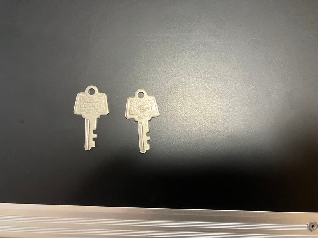 希少！STEINBERGER GP-2S(USA)ハードケース、ソフトケース付き