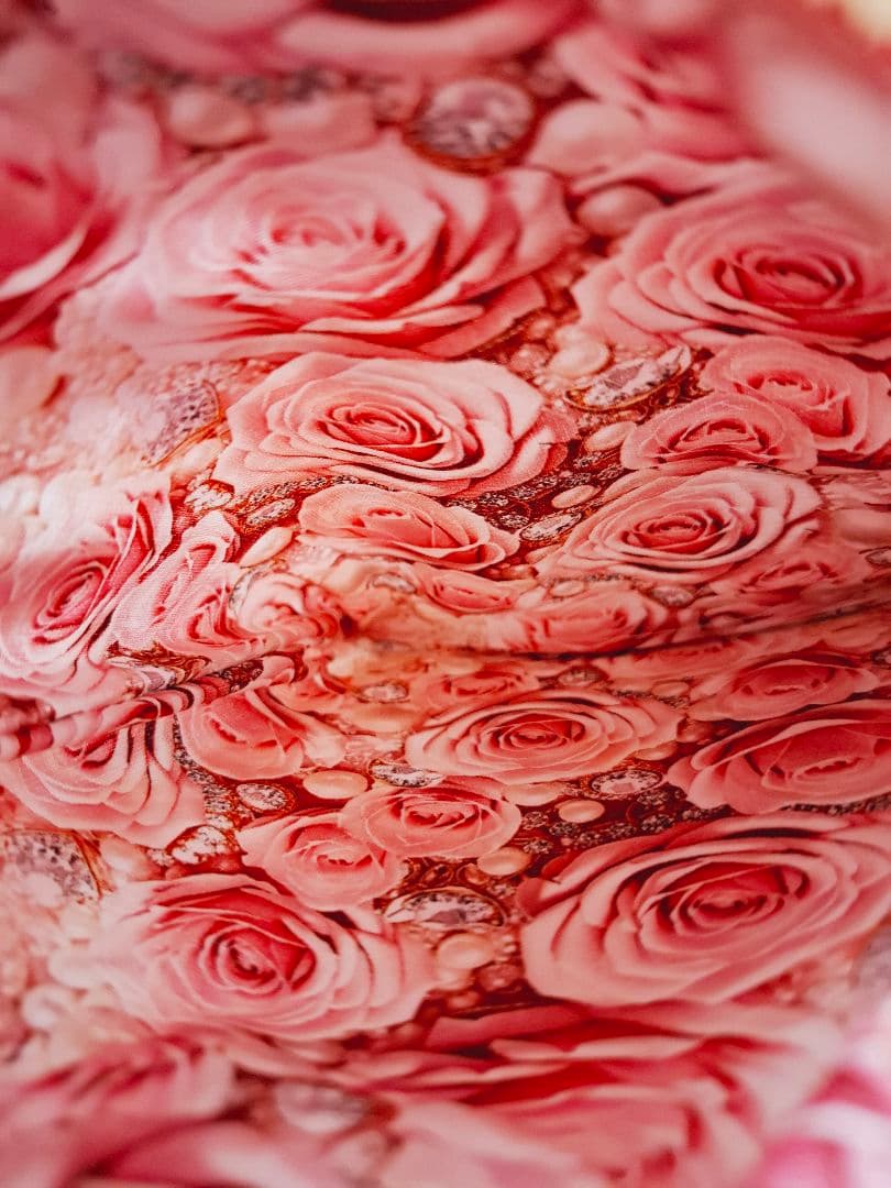 ねこ◎様♥️オーダーページ♥️2便になります