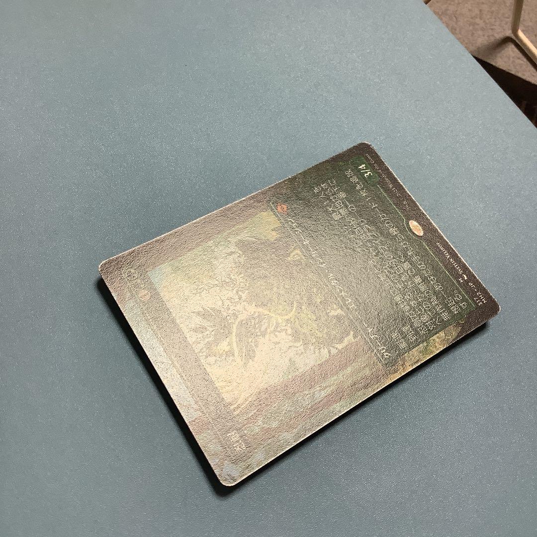 忍耐/Endurance  MH2ーBF日本語ボーダーレス