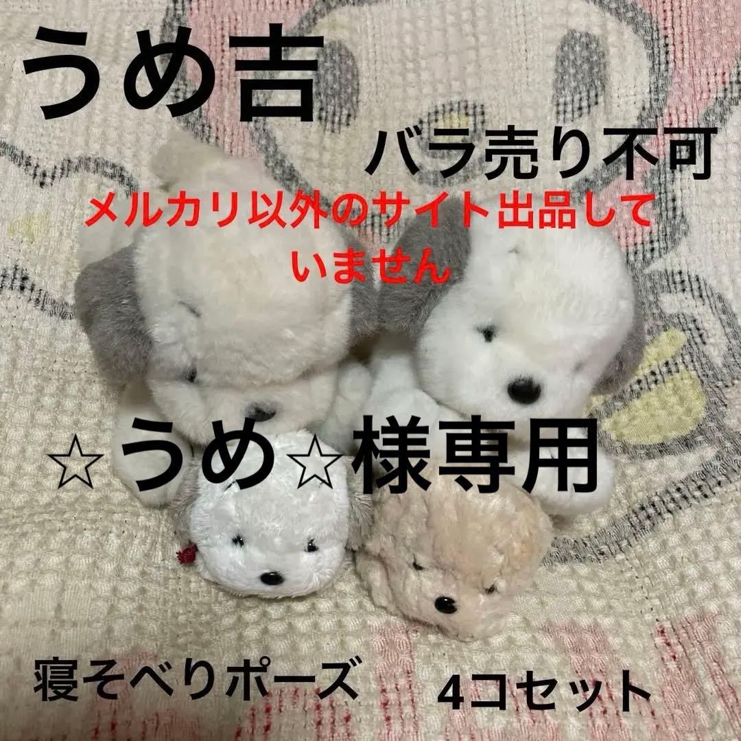うめ吉　オリエンタルトーイ　寝そべりポーズ　くたくた　4コセット　バラ売り不可