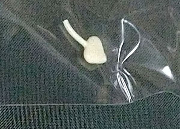 訳あり 女子造形部 悪魔のメムメムちゃん レース先輩とメムメム ガレージキット