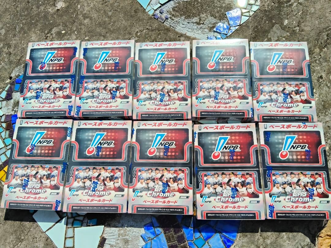 NPB Chrome トレーディングカード 24パックセット×10箱