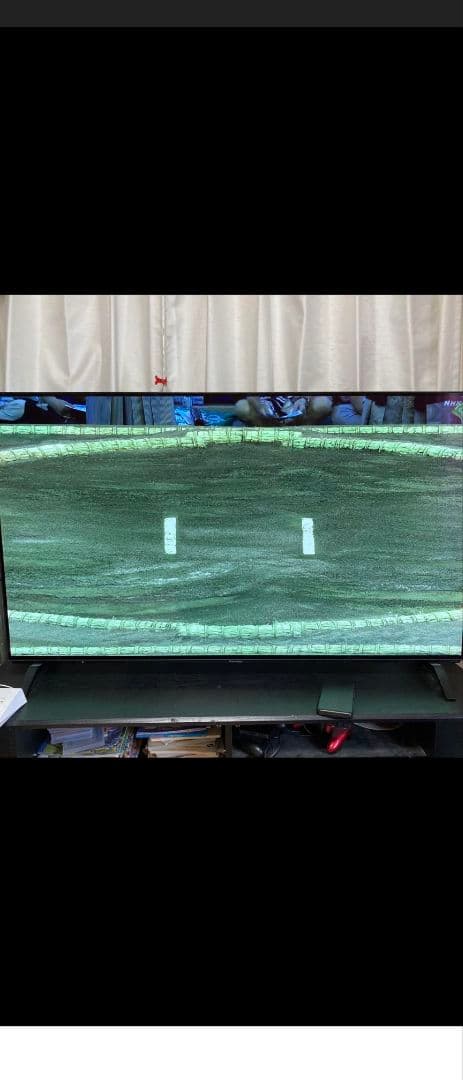 ☆セール☆ Panasonic 2018年製 有機ELテレビ 55型VIERA