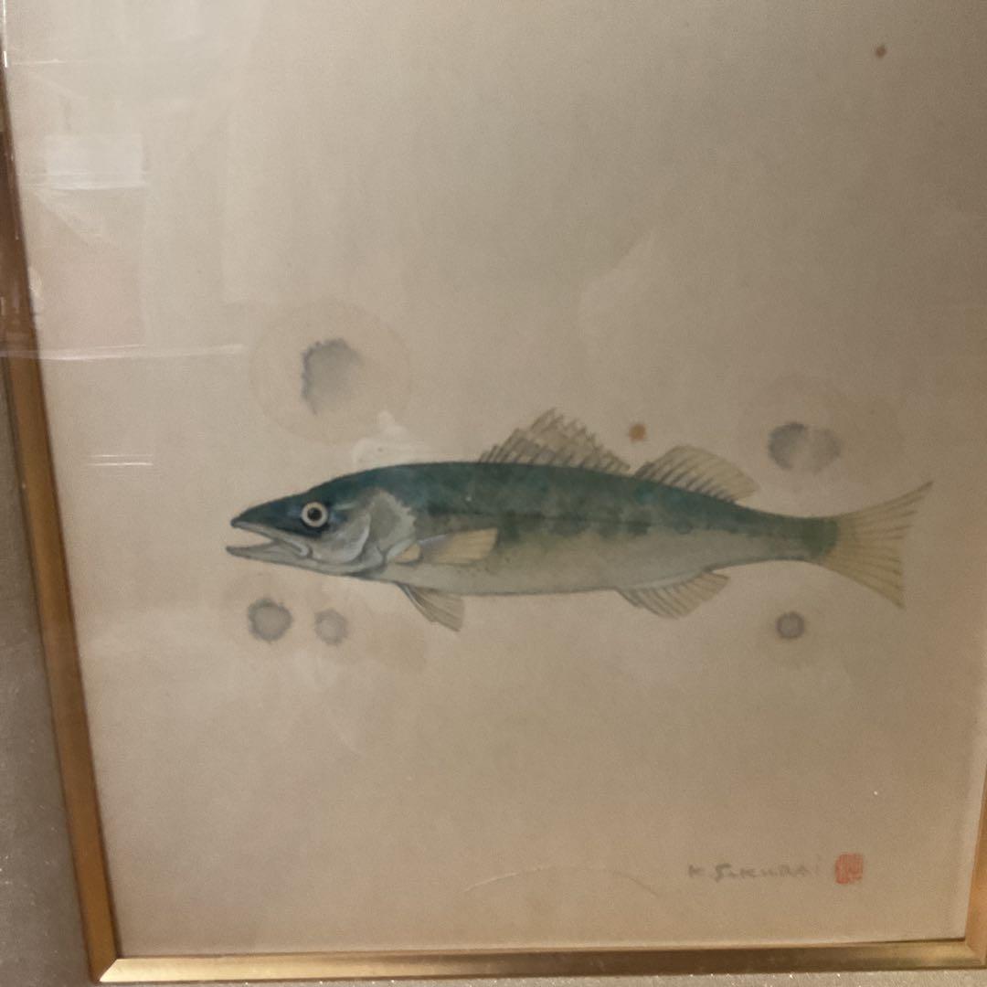 水彩画 肉筆画 【 魚 図 】 作者 落款印譜在 sakurai