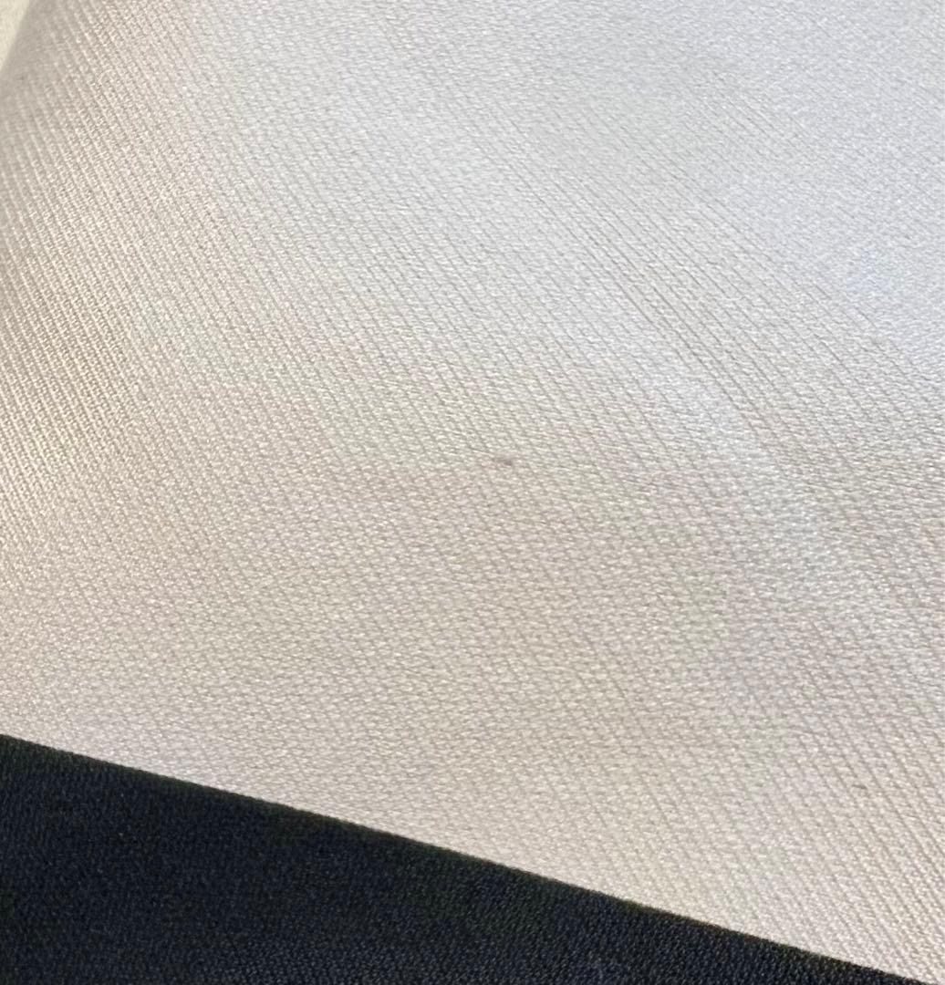 SHE Tokyo Anna Border シルク フレアスカート