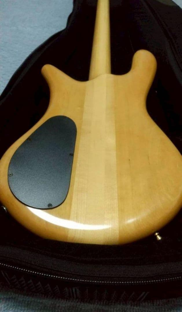 「値下げ中」Spector Euro 4LX Natural