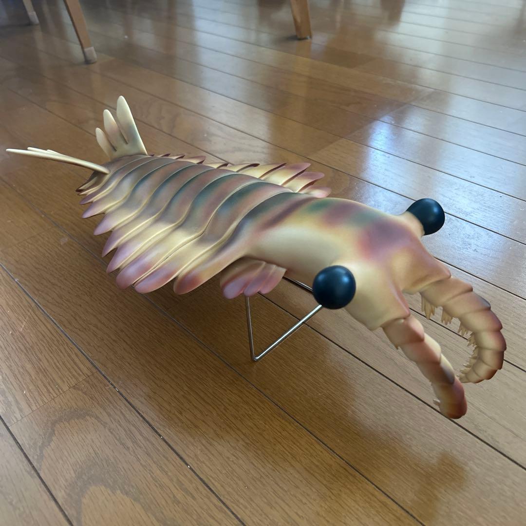 カンブリア紀　アノマロカリス　フィギュア　化石　復元モデル　NHKスペシャル