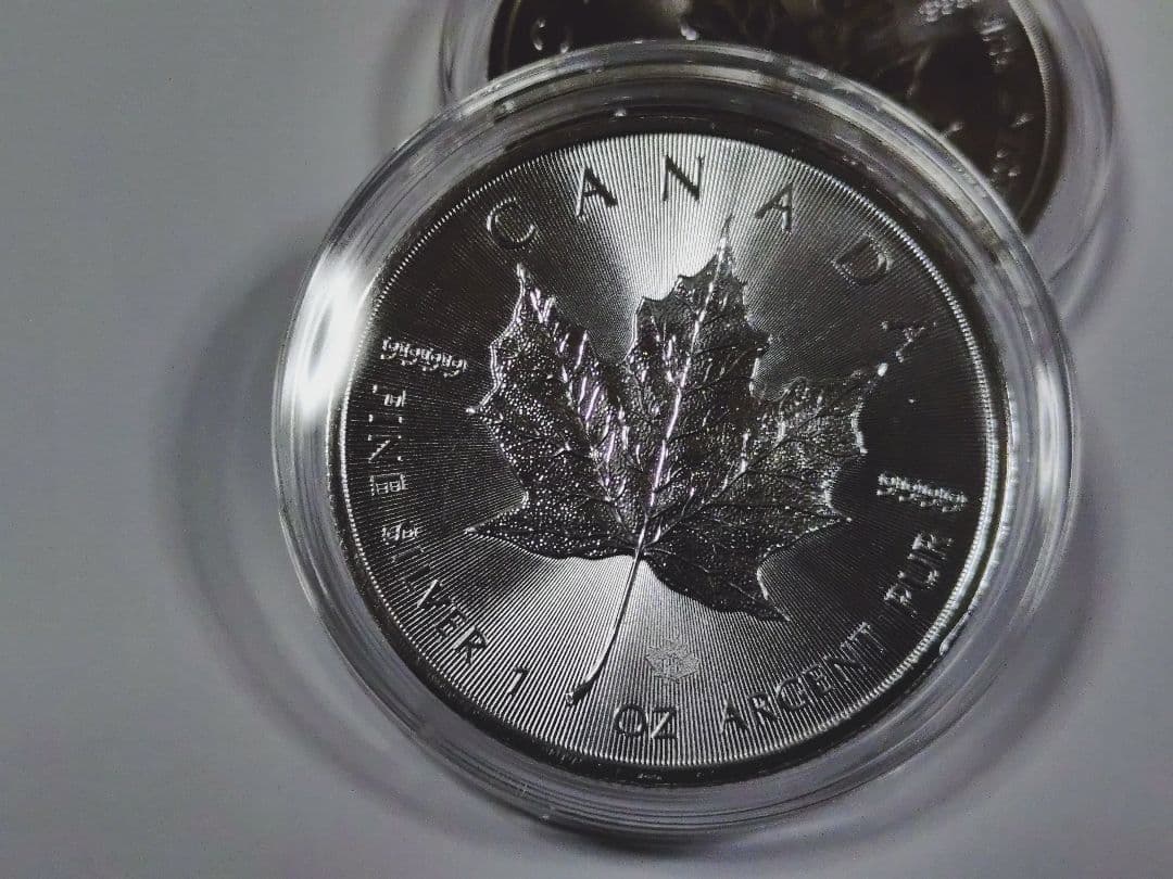 2019カナダメイプルリーフ銀貨1オンス 2枚セット　ケース付き