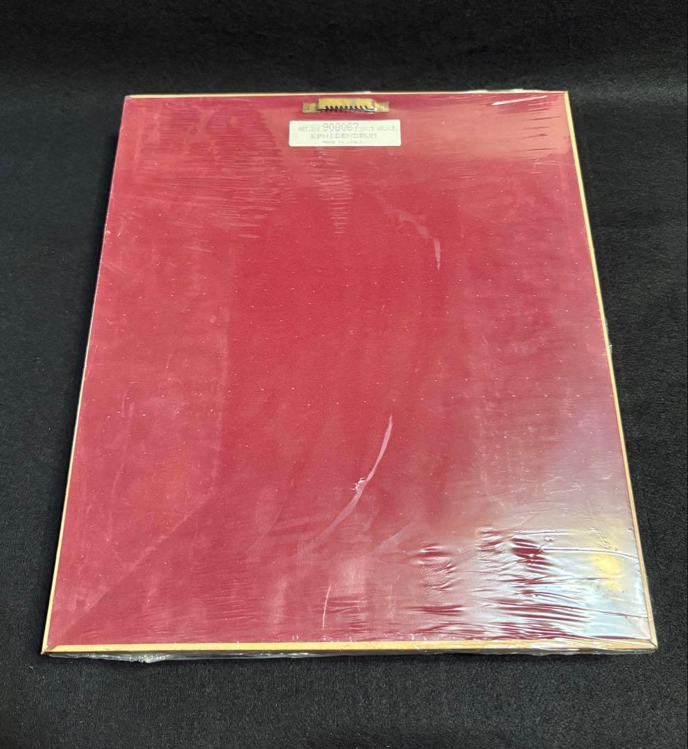 イタリア製 額装 インテリア 壁掛 エピデンドラム ラン科 ITALY オブジェ